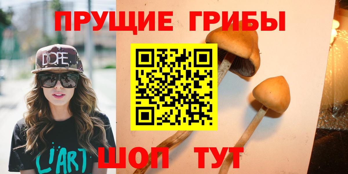 Псилоцибиновые грибы Psilocybine cubensis  Вход с VPN  Саяногорск 